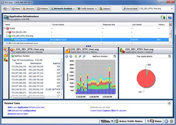 实时 NetFlow 显示使用最多的界面